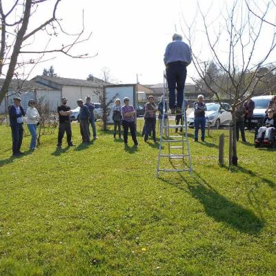 Taille des arbres verger communal de Charolles