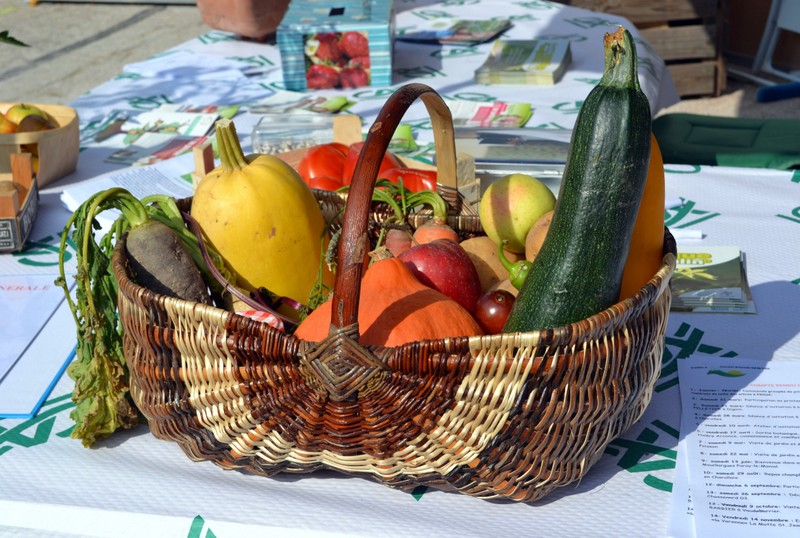 panier de légumes