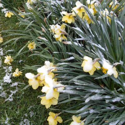 Le jardin au fil des saisons