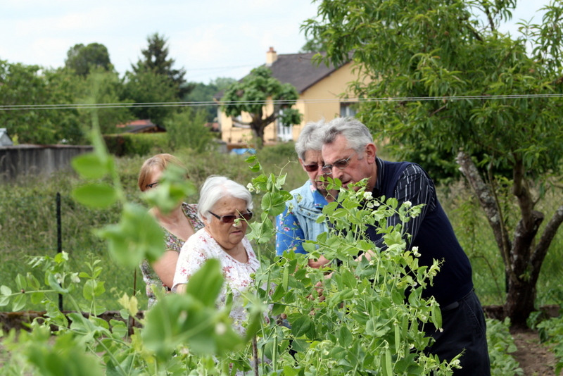 visite jardin