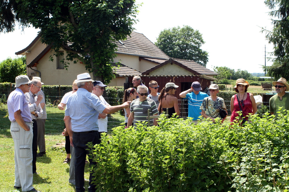 visite jardin